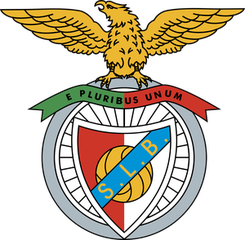本菲卡队旗