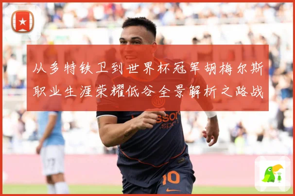 从多特铁卫到世界杯冠军胡梅尔斯职业生涯荣耀低谷全景解析之路战术观察-深度解析