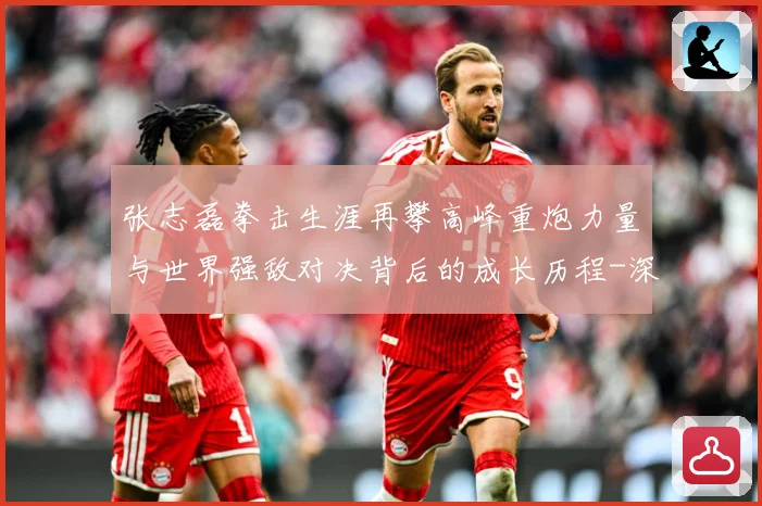 张志磊拳击生涯再攀高峰重炮力量与世界强敌对决背后的成长历程-深度解析