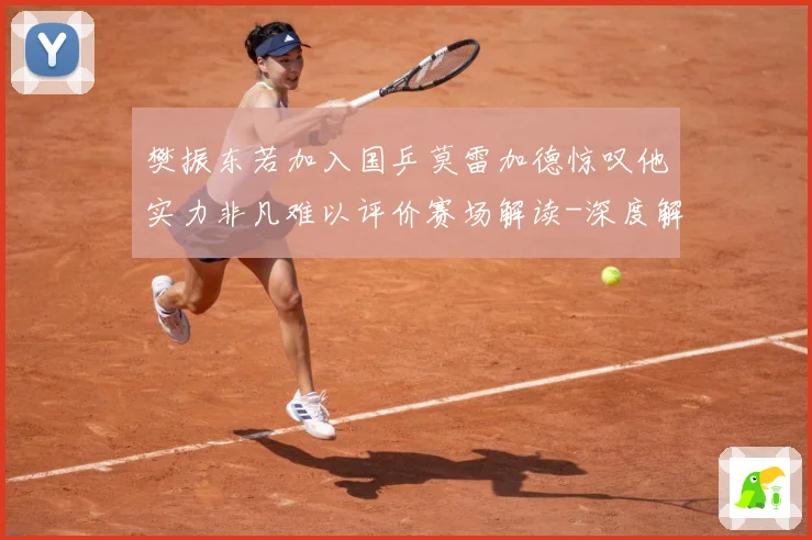 樊振东若加入国乒莫雷加德惊叹他实力非凡难以评价赛场解读-深度解析