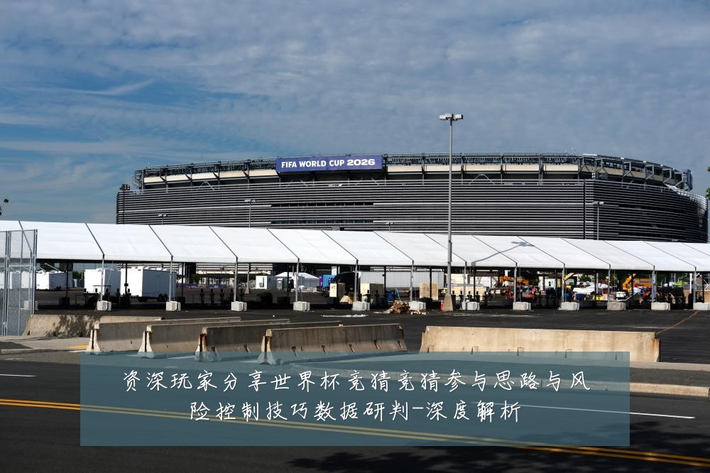 资深玩家分享世界杯竞猜竞猜参与思路与风险控制技巧数据研判-深度解析