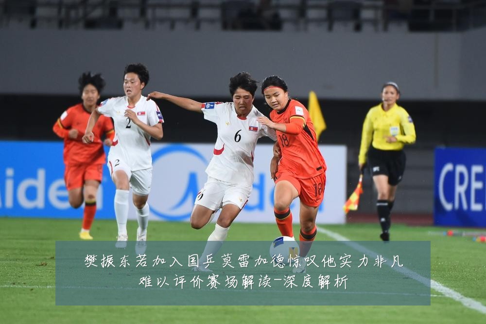 樊振东若加入国乒莫雷加德惊叹他实力非凡难以评价赛场解读-深度解析